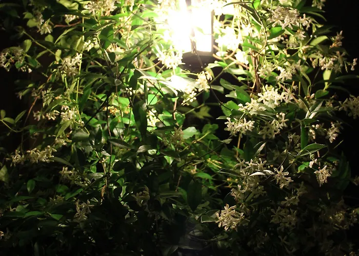 Hotell Hotel Centrale Bellagio 3*