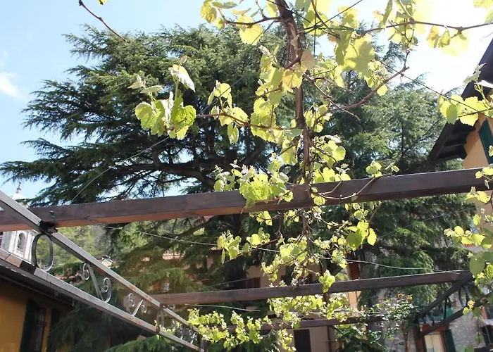 圣特拉尔百乐宫酒店 酒店