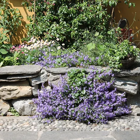 호텔 Hotel Centrale Bellagio 벨라지오