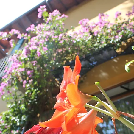 Hotel Centrale Bellagio 3*