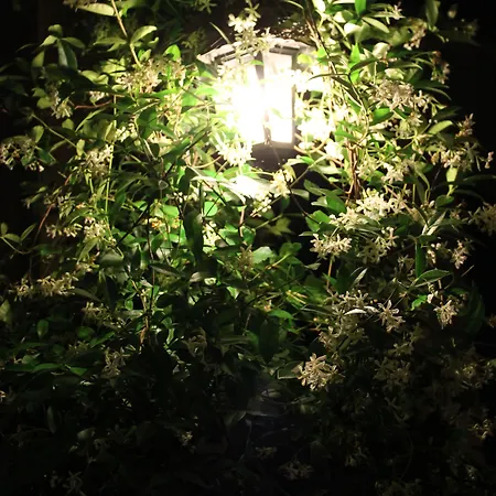 호텔 Hotel Centrale Bellagio 3*