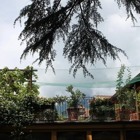 호텔 Hotel Centrale Bellagio