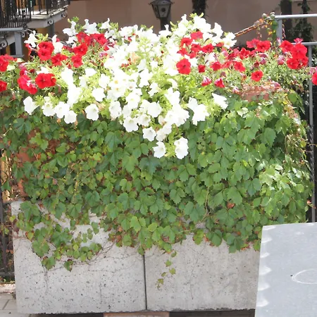 Hotel Centrale Bellagio 호텔 벨라지오