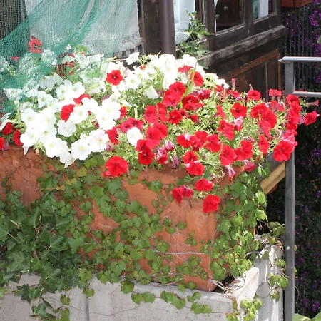 Hotel Centrale Bellagio Otel Bellagio