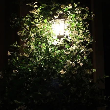 호텔 Hotel Centrale Bellagio 벨라지오