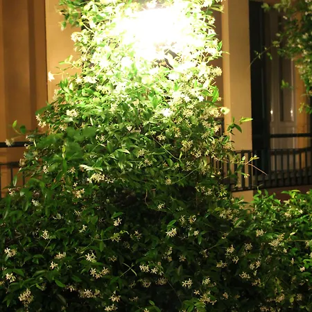 Hotel Centrale Bellagio