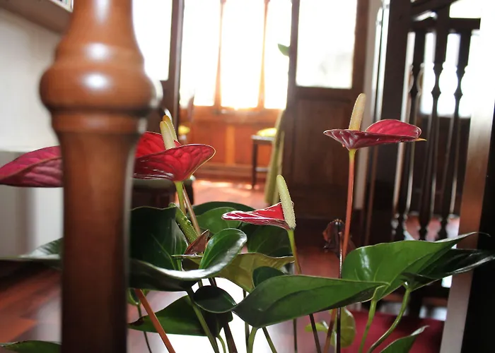 Hotel Centrale Bellagio מלון בלאג'יו