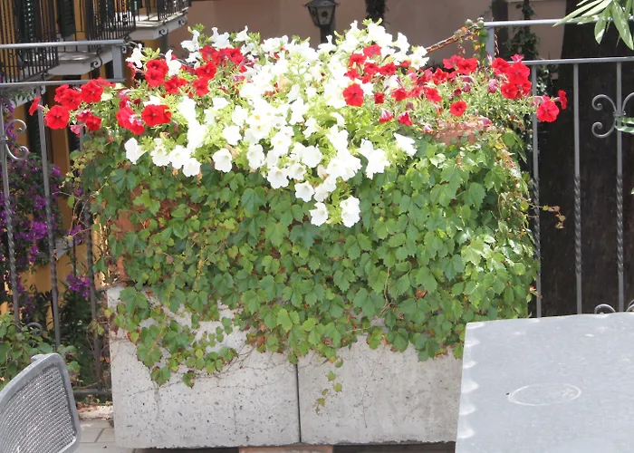 Hotel Centrale Bellagio Hotel Bellagio