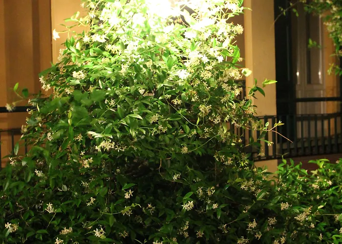 Hotel Centrale Bellagio