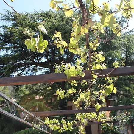 Hotel Centrale Bellagio Hotel