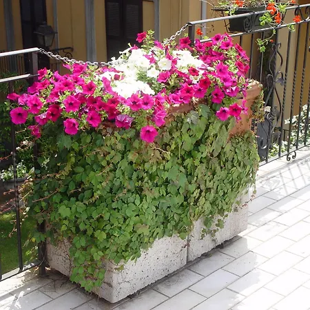 Hotel Centrale Bellagio 3*