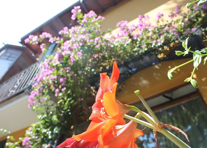 Hotel Centrale Bellagio 3*