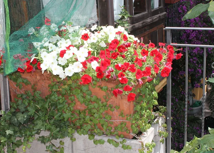 Hotel Centrale Bellagio 호텔 벨라지오