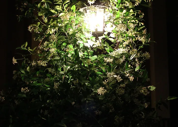 호텔 Hotel Centrale Bellagio 벨라지오