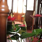 Hotel Centrale Bellagio מלון בלאג'יו