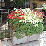 Hotel Centrale Bellagio מלון 3*