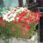 Hotel Centrale Bellagio מלון בלאג'יו