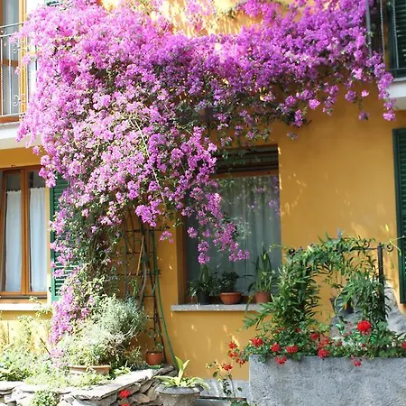 Ξενοδοχείο Hotel Centrale Bellagio 3*