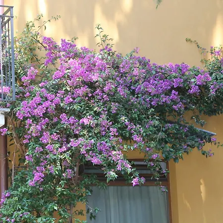 Hotel Centrale Bellagio Μπελάτζιο